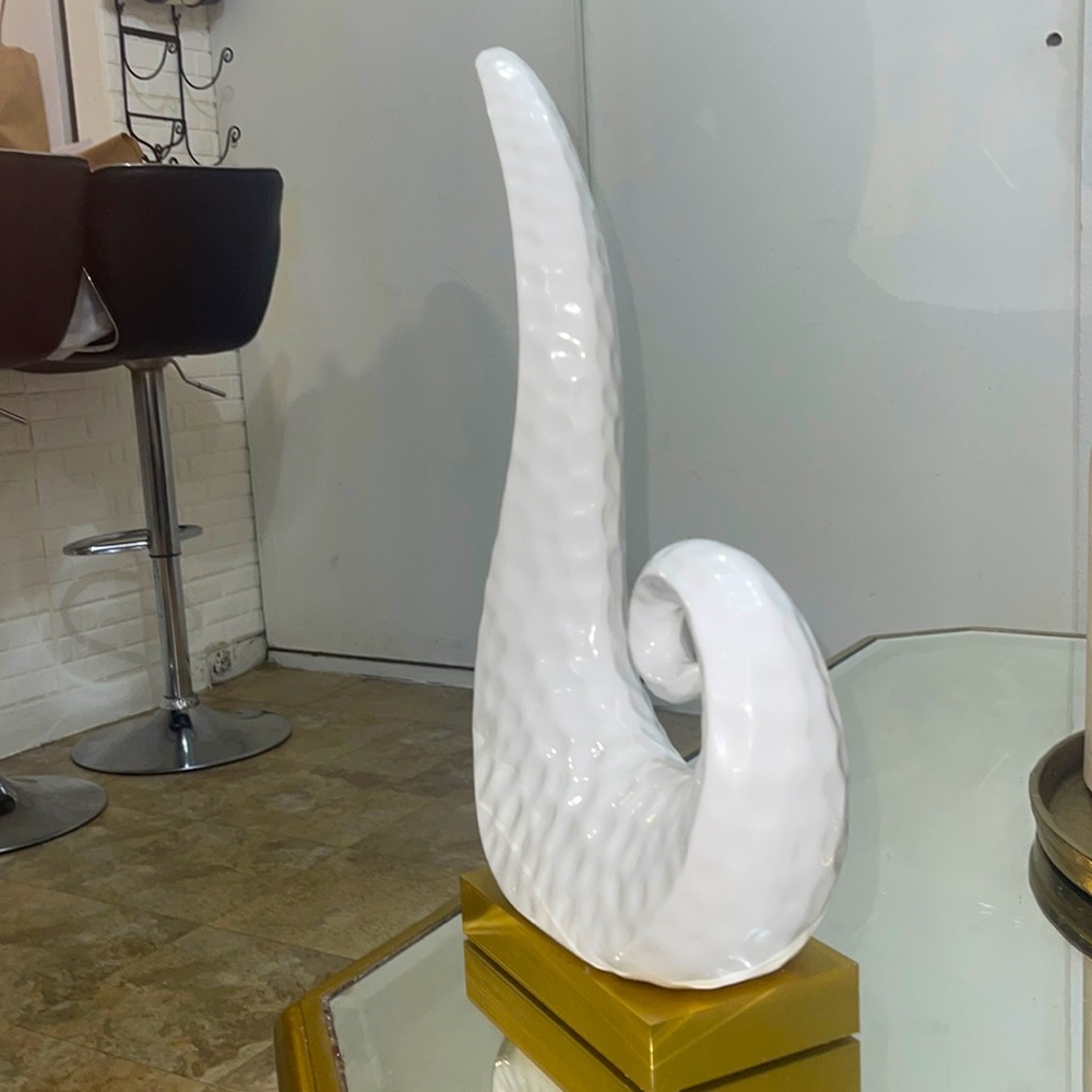 White shell